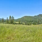 Photo 71 for Gold Rush Bison Ranch