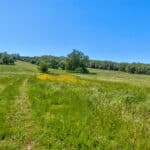 Photo 72 for Gold Rush Bison Ranch