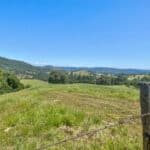 Photo 78 for Gold Rush Bison Ranch