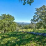 Photo 79 for Gold Rush Bison Ranch