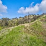 Photo 4 for Clovis Acres