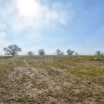 Photo 10 for Clovis Acres