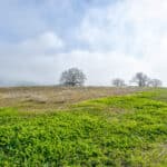 Photo 13 for Clovis Acres