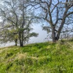 Photo 14 for Clovis Acres