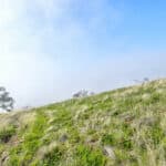 Photo 15 for Clovis Acres