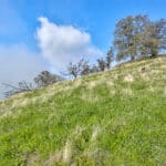 Photo 16 for Clovis Acres