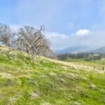 Photo 18 for Clovis Acres