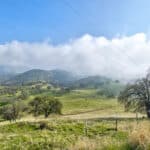 Photo 19 for Clovis Acres