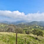 Photo 20 for Clovis Acres