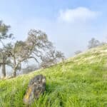 Photo 21 for Clovis Acres