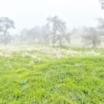 Photo 22 for Clovis Acres