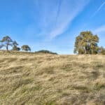 Photo 60 for Shenandoah Ridge Ranchette