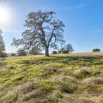 Photo 62 for Shenandoah Ridge Ranchette