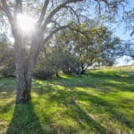 Photo 65 for Shenandoah Ridge Ranchette