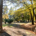 Photo 3 for Hensley Mountain Ranch