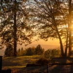 Photo 38 for Hensley Mountain Ranch