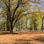 Photo 49 for Hensley Mountain Ranch