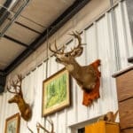 Photo 54 for Hensley Mountain Ranch