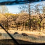 Photo 77 for Hensley Mountain Ranch