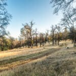 Photo 73 for Hensley Mountain Ranch