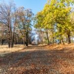 Photo 48 for Hensley Mountain Ranch