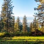 Photo 29 for Hensley Mountain Ranch