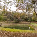 Photo 82 for Hensley Mountain Ranch