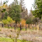 Photo 87 for Hensley Mountain Ranch