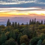 Photo 95 for Hensley Mountain Ranch