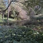 Photo 24 for Cereda Ranch