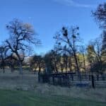 Photo 46 for Hensley Mountain Ranch