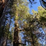 Photo 47 for Hensley Mountain Ranch