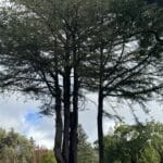 Photo 13 for Cereda Ranch