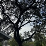 Photo 12 for Cereda Ranch