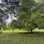 Photo 11 for Cereda Ranch