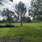 Photo 10 for Cereda Ranch