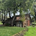 Photo 8 for Cereda Ranch