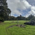 Photo 4 for Cereda Ranch