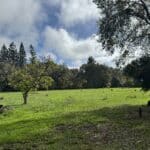 Photo 1 for Cereda Ranch