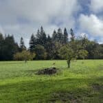 Photo 3 for Cereda Ranch