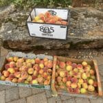 Photo 88 for Hensley Mountain Ranch