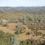 Photo 22 for Latrobe Ranchette