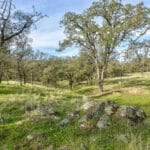 Photo 27 for Latrobe Ranchette