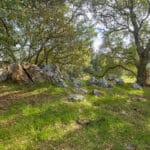 Photo 32 for Latrobe Ranchette