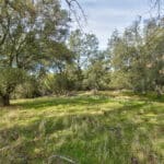 Photo 34 for Latrobe Ranchette