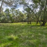 Photo 36 for Latrobe Ranchette