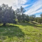 Photo 37 for Latrobe Ranchette