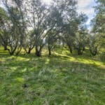 Photo 38 for Latrobe Ranchette