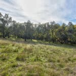 Photo 43 for Latrobe Ranchette