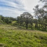 Photo 45 for Latrobe Ranchette